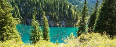 Kazakistan 'da batık ormanlı eşsiz bir dağ gölü olan Kaindy.