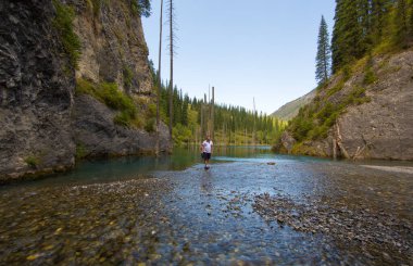 Kazakistan 'da batık ormanlı eşsiz bir dağ gölü olan Kaindy.