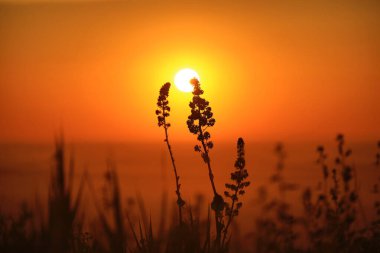 Dağlarda güzel bir gün batımı