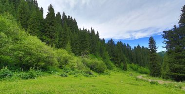 Yazın muhteşem dağ manzarası, Kazakistan