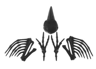 Beyaz arkaplanda izole edilmiş kuş kanatlarının siyah iskeleti