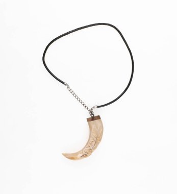 Beyaz arka planda diş kurdu olan kolye.