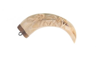 Aslan dişi beyaz arkaplanda izole edilmiş.