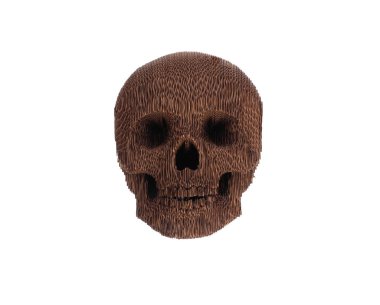 beyaz arkaplanda karton kafatası izole