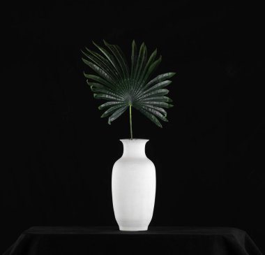 Siyah arkaplanda beyaz bir vazoda yeşil palmiye yaprakları