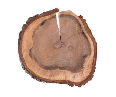 Tahta yuvarlak çatlamış tahta kesiği ve beyaz arka planda izole edilmiş yıllık halkalar.