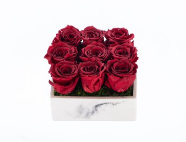 Beyaz arkaplanda izole edilmiş kırmızı hediye suni güller