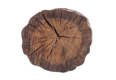 Yıllık halkalarıyla eski bir tahta parçası.