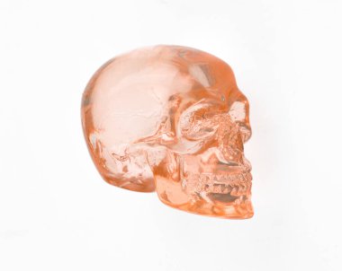 Beyaz arkaplanda cam kafatası izole