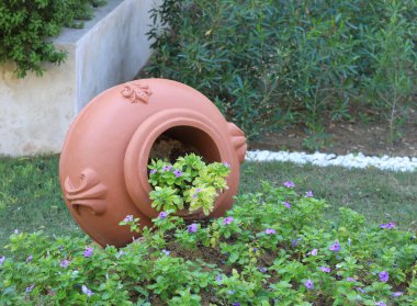 Güzel dekoratif çiçek tarhı