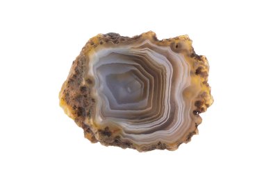  Beyaz arkaplanda izole edilmiş jeolojik cilalanmış mineral taşı