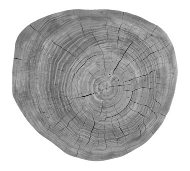 Çatlak ve yıllık halkalarla kesilmiş eski ahşabın dokusu ve yapısı