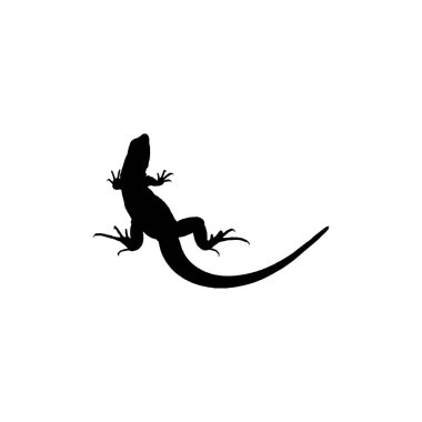 Gecko icon. Simple style reptiles info poster background symbol. Gecko brand logo design element. Gecko t-shirt printing. vector for sticker.