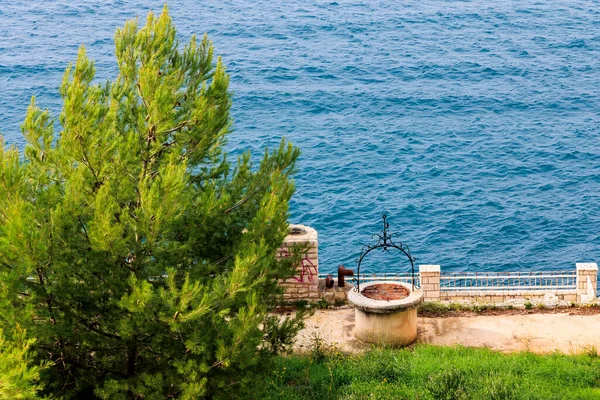 Rovinjの青い海の前に松の木の横に錬鉄製のフレームとアンティーク噴水 — ストック写真