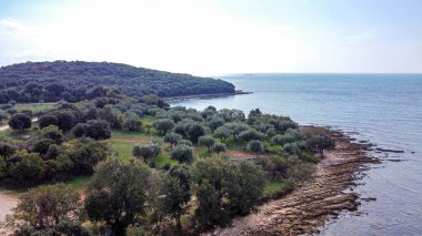 Rovinj yakınlarındaki Cisterna Sahili 'nde mavi denizli Rocky plajı.