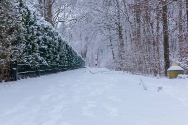 Brunnenbach deresi boyunca Augsburg yakınlarındaki Sibenbrunn 'da karlı orman yolları.