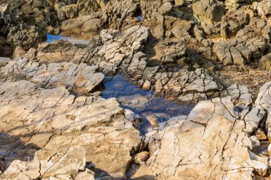 Rovinj yakınlarındaki Cisterna Sahili 'nde mavi denizli Rocky plajı.