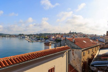 Seagulls sitting on the roofs of the old town of Rovinj in Croatia overlooking the sea