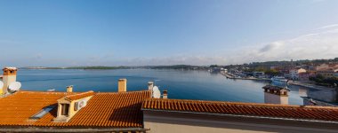 Seagulls sitting on the roofs of the old town of Rovinj in Croatia overlooking the sea