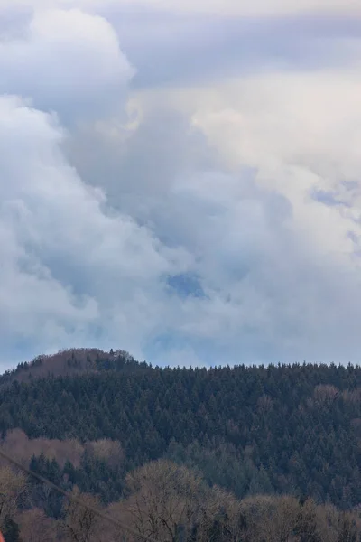 Sinar Matahari Menerobos Awan Lebat Menutupi Lanskap Hutan Dekat Ravensburg — Stok Foto