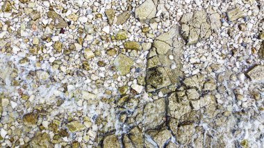 Rovinj yakınlarındaki Cisterna Sahili 'nde mavi denizli Rocky plajı.