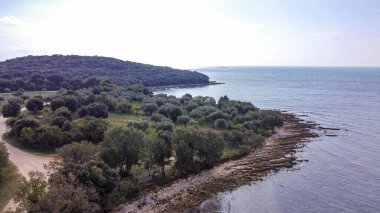 Rovinj yakınlarındaki Cisterna Sahili 'nde mavi denizli Rocky plajı.
