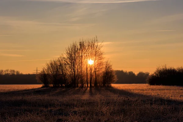 Красочный Восход Солнца Золотым Солнцем Над Кустами Деревьями Лугу Пейзажа — стоковое фото