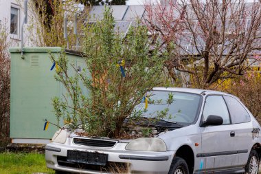 İçten yanmalı motorlu otomobil hareket edemiyor. Motor bölmesinde büyüyen bitkiler.