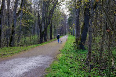 Ormanda köpek gezdiren bir kadın.