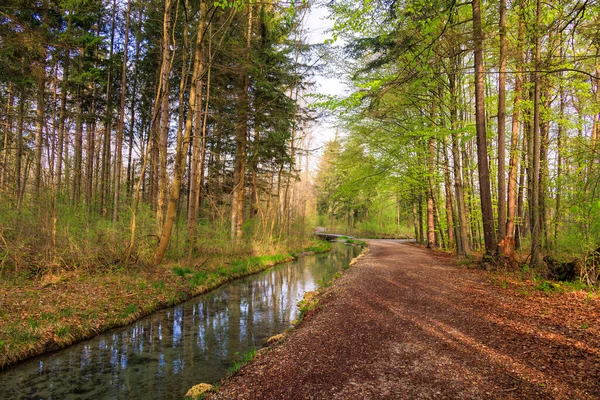 Caminho Florestal Longo Brunnenbach Siebenbrunn Perto Augsburg Com Sombra Árvores — Fotografia de Stock