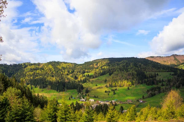 Blick Über Die Berge Des Schwarzwaldes Bei Menzenschwand — Stockfoto
