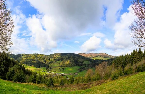 Blick Über Die Berge Des Schwarzwaldes Bei Menzenschwand — Stockfoto