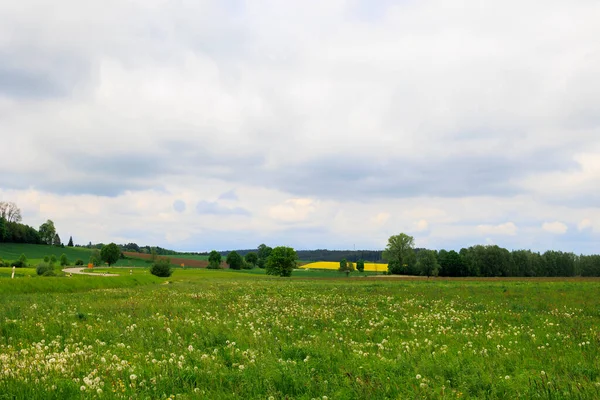 Hilly Landskap Med Grønne Enger Gule Rapsfelt Schmutterdalen Nær Augsburg – stockfoto