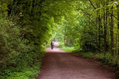 Augsburg yakınlarındaki Siebenbrunn 'da ağaçların altındaki ormanda yalnız bir bisikletçi.