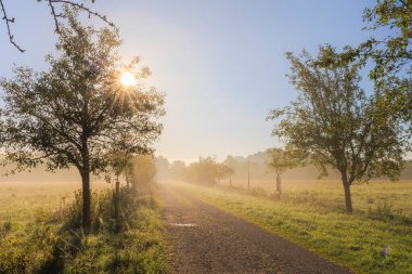 Güneş ışınları ağaçların arasından, Augsburg yakınlarındaki Siebenbrunn 'daki meyve bahçeleri arasındaki toprak yolda parlıyor..