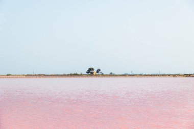 Fransa 'nın Camarque bölgesindeki Aigues-Mortes kasabası yakınlarındaki pembe tuz üretimi tavalarına bakın.