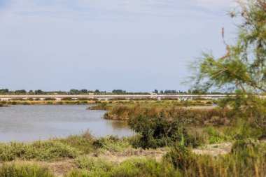 Fransa 'nın Camarque bölgesindeki Aigues-Mortes kasabası yakınlarındaki pembe tuz üretimi tavalarına bakın.
