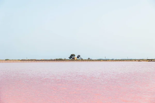 Uitzicht Roze Zoutpannen Van Zoutproductie Nabij Stad Aigues Mortes Regio — Stockfoto