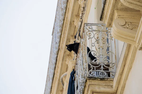 Черная Кошка Смотрит Улицу Балкона Коваными Железными Перилами Центре Французского — стоковое фото