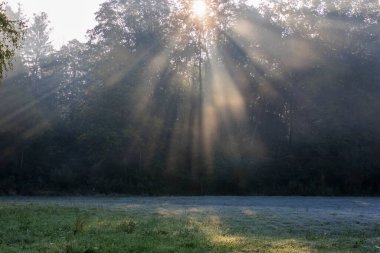 Güneşli bir sabahta, Augsburg yakınlarındaki Siebenbrunn 'daki çayırlar üzerinde sis bulutları.