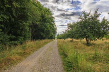 Bulutlu bir günde Augsburg yakınlarındaki Siebenbrunn 'daki ormanın kenarındaki meyve bahçesine bakın.