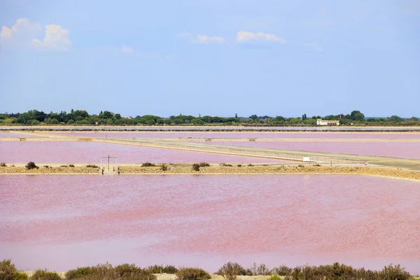 Blick Über Die Rosafarbenen Salinen Der Salzproduktion Der Nähe Der — Stockfoto