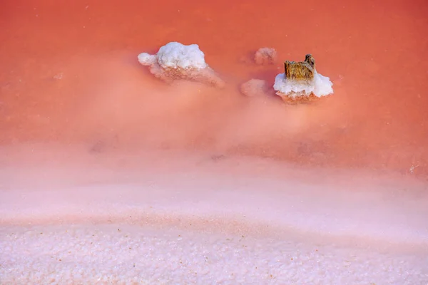 Salt Encrusted Stones Pink Water Salt Flats Aigues Mortes Camargue — Stockfoto