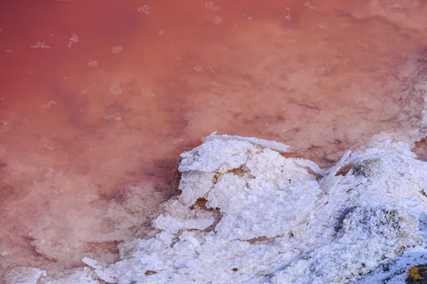 Salt Encrusted Stones Pink Water Salt Flats Aigues Mortes Camargue — Stockfoto