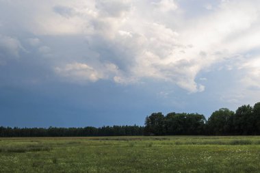 Ormanın kıyısındaki bir çayır. Fırtına havasında dramatik bulutlu bir gökyüzü.