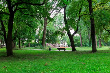 Almanya 'nın Augsburg kentindeki Grieslepark' ta bir çocuk parkının önündeki gölgeli ağaçların altında dinlenme tezgahı.