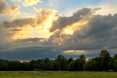 Ormanın kıyısındaki bir çayır. Fırtına havasında dramatik bulutlu bir gökyüzü.