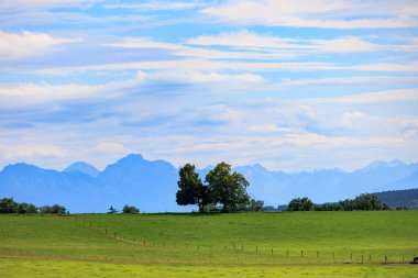 Bavyera 'da Reichling yakınlarındaki Alplere doğru uzanan çayırların ve tarla yollarının üzerinde bir yaz günü mavi gökyüzü ve açık bulutlarla