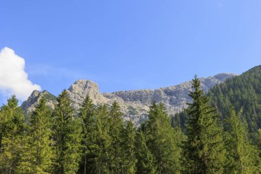 Avusturya 'da Plansee Gölü yakınlarındaki Ammer Vadisi' ndeki orman dağları mavi gökyüzü güneşli bir günde