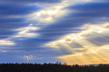 Güneş ışınları, kışın bulutlu bir günde Baden-Wurttembergon 'da Ravensburg yakınlarındaki ormanlık bir arazide yoğun bir bulut örtüsünü yarıp geçer.